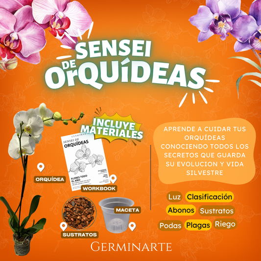 AGUASCALIENTES 28 y 29 DE MARZO