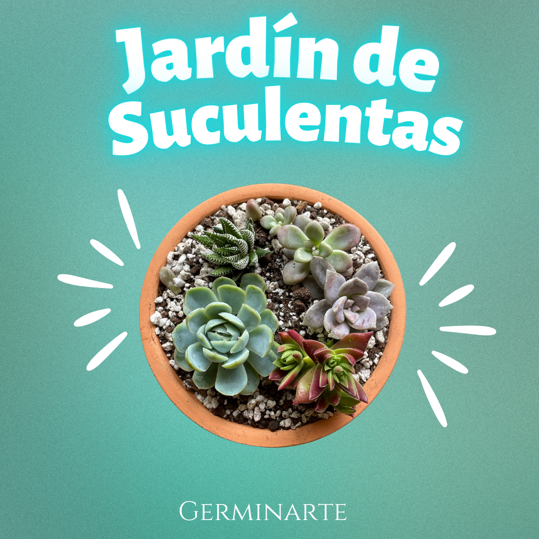 Jardín de Suculentas