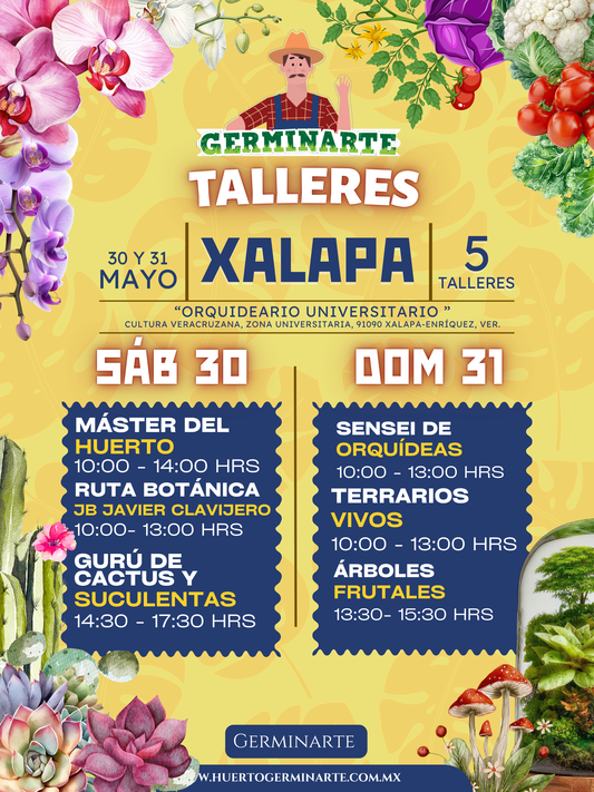 Xalapa 30 y 31 de Mayo