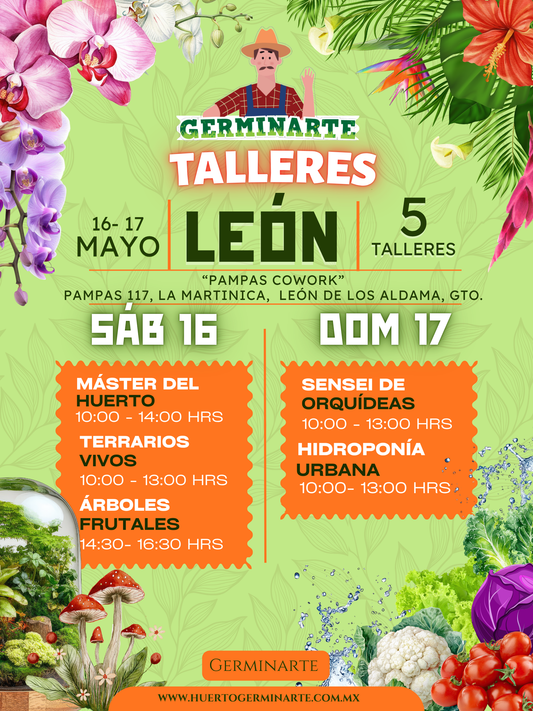 León 16 y 17 Mayo