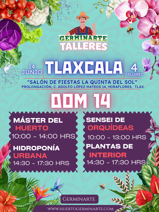 TLAXCALA 14 DE JUNIO