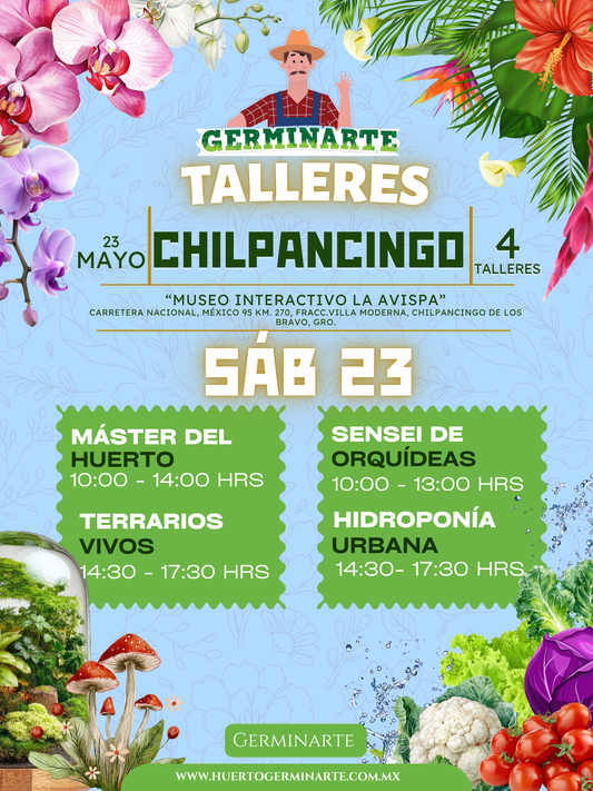 Chilpancingo 23 mayo