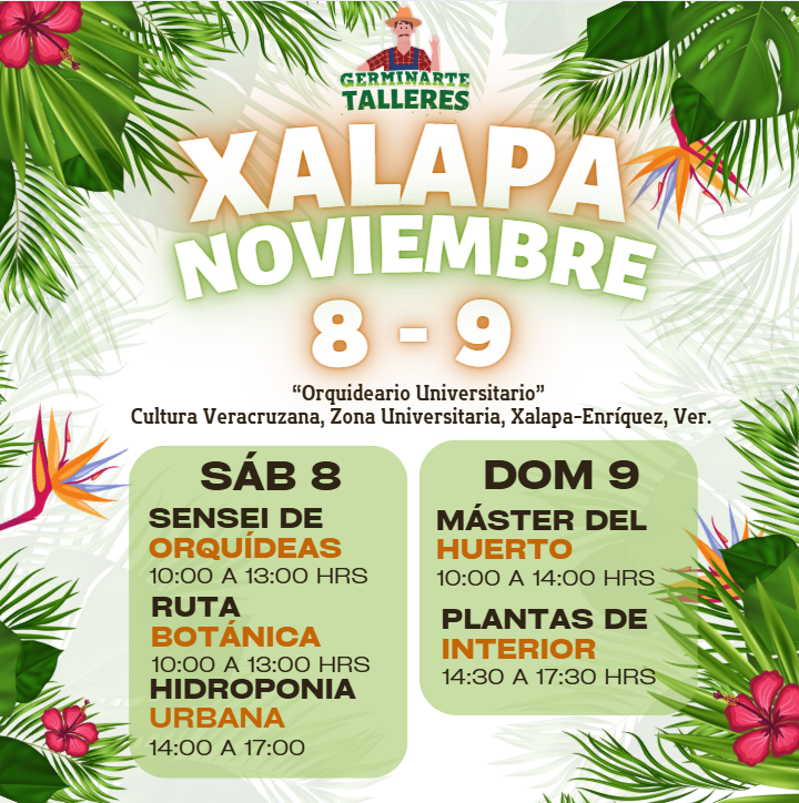 XALAPA