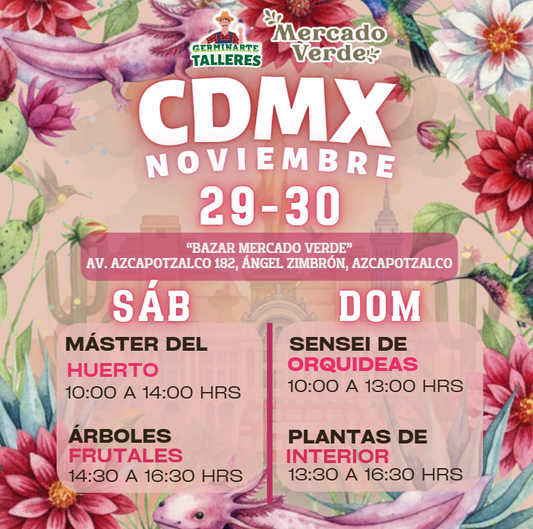 CDMX