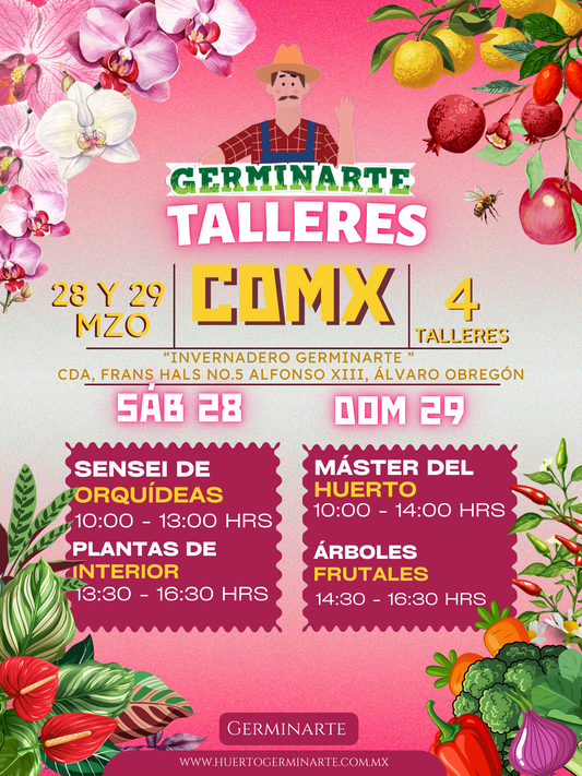 CDMX 28 y 29 MARZO