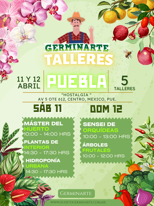 PUEBLA 11 Y 12 DE ABRIL