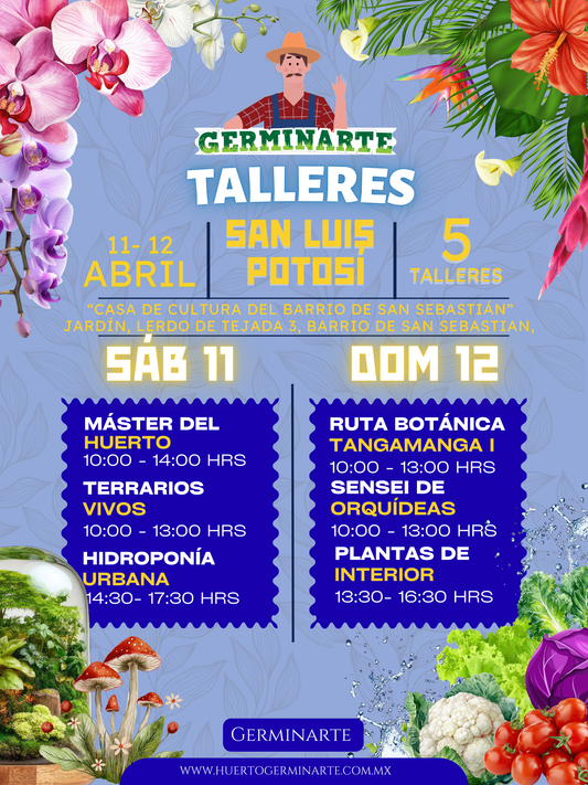 San Luis Potosí 11 y 12 de abril