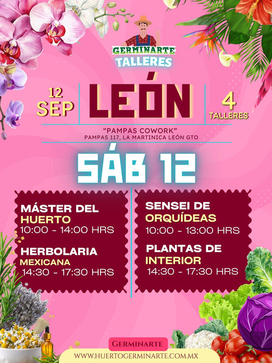 Leòn 12 de septiembre