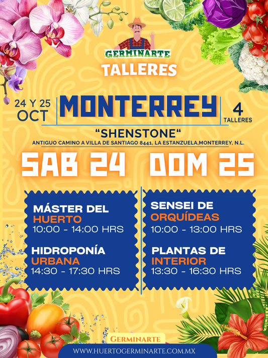 Monterrey 24 y 25 de octubre
