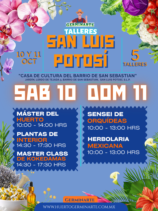 San Luis Potosí 10 y 11 de Octubre