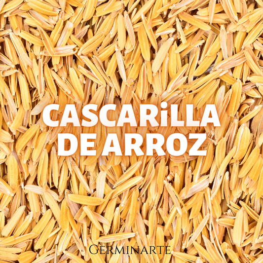 Cascarilla de Arroz