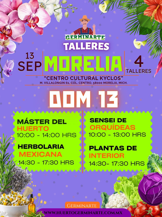 Morelia 13 de septiembre