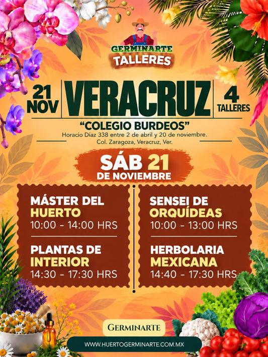 Veracruz 21 de Noviembre