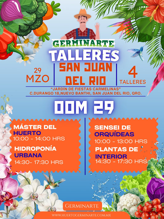 SAN JUAN DEL RIO 29 MARZO