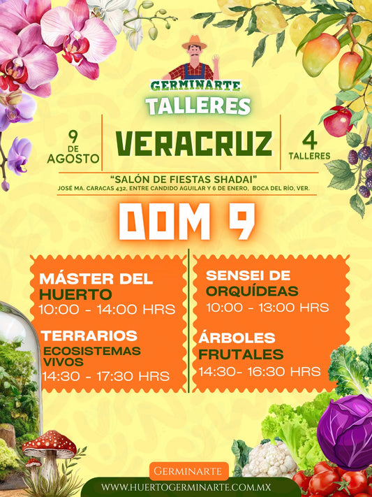 Veracuz 9 de Agosto