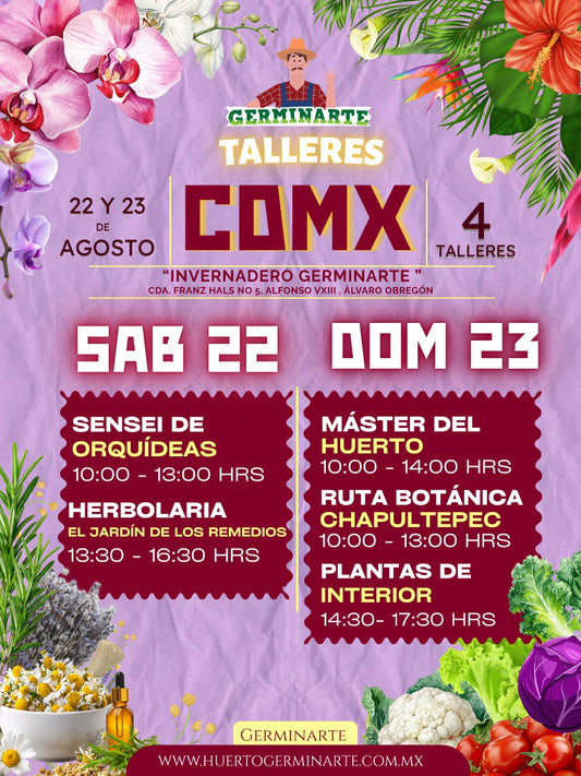 CDMX 22 Y 23 DE AGOSTO