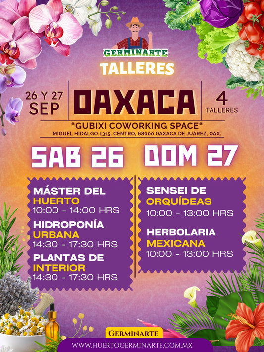 OAXACA 26 Y 27 SEPTIEMBRE