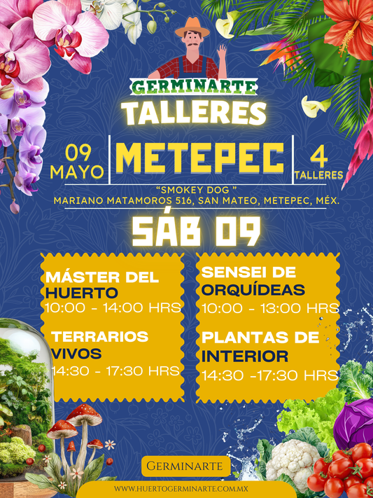 METEPEC 9 DE MAYO- EDICIÓN ESPECIAL DÍA DE LAS MADRES