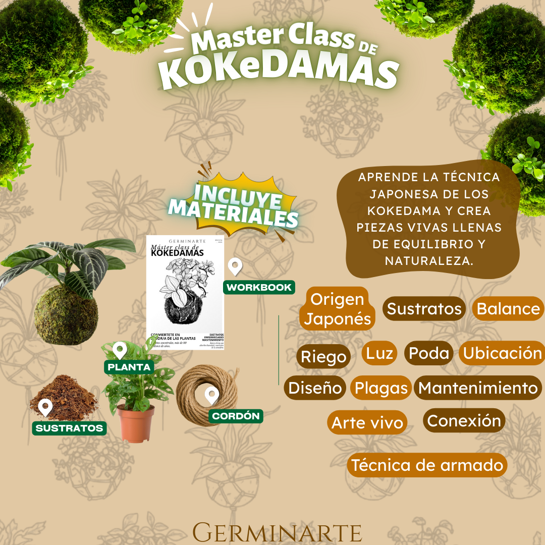 CUERNAVACA 2 Y 3 DE MAYO