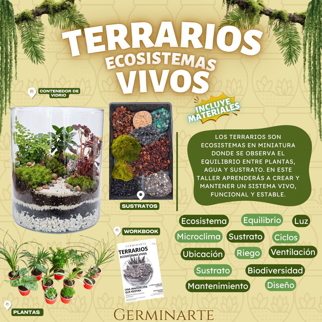 CUERNAVACA 1 Y 2 DE AGOSTO