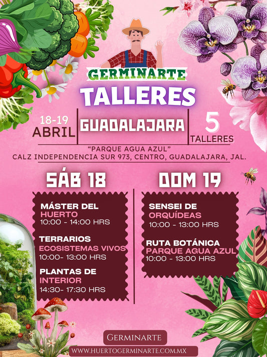 Guadalajara 18 y 19 de Abril