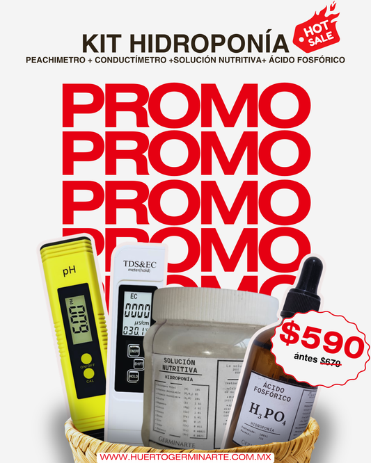 Kit Hidroponia