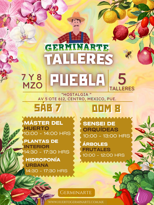 PUEBLA 7 y 8 de MARZO