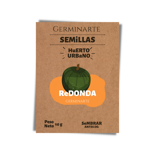 Semilla Calabaza Redonda