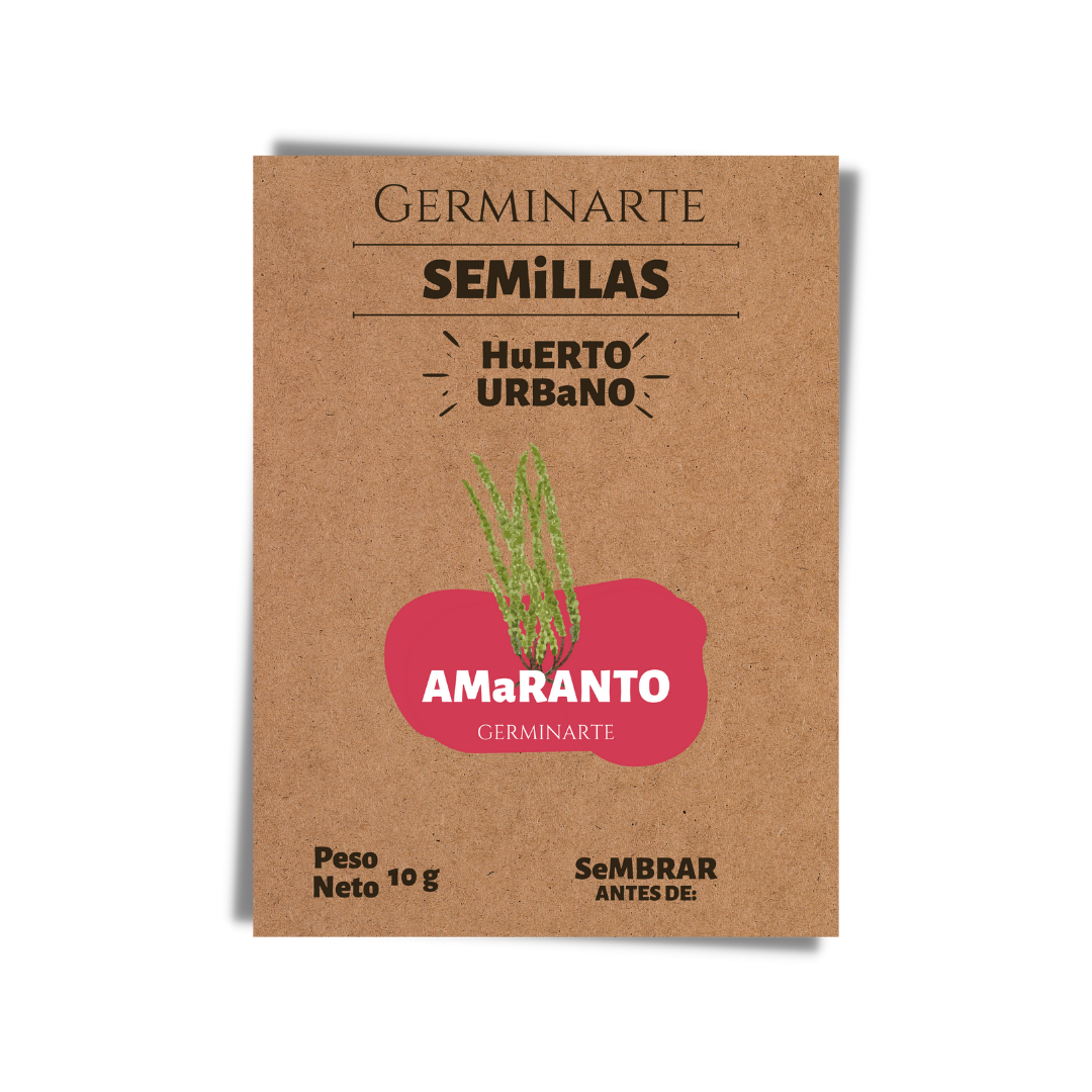 Semilla Amaranto