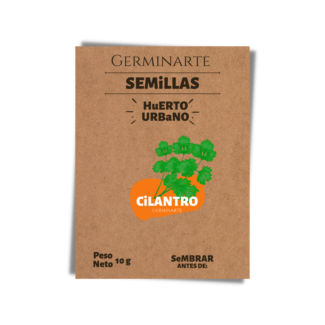 Semilla Cilantro