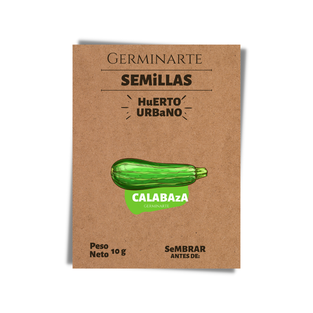 Semilla Calabaza Zucchini