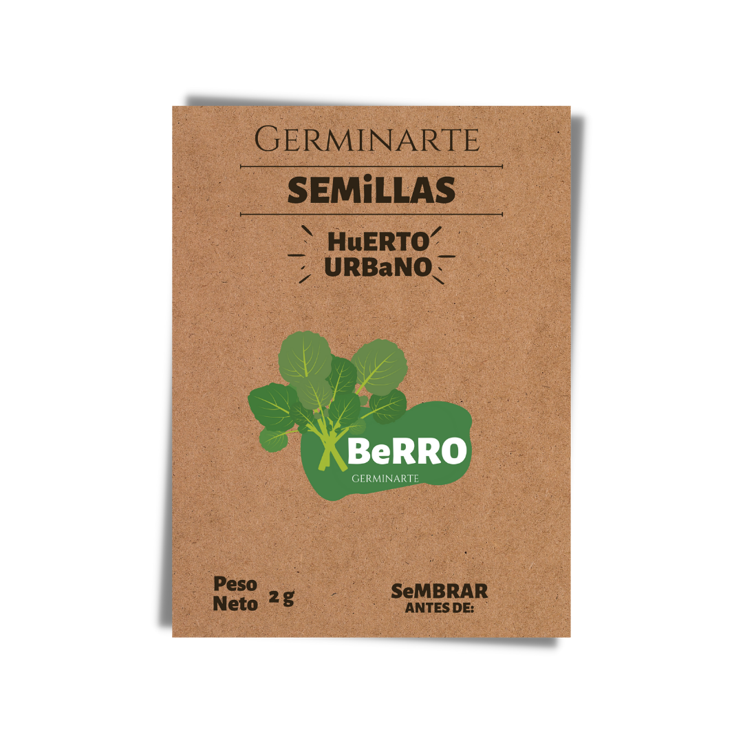 Semilla Berro