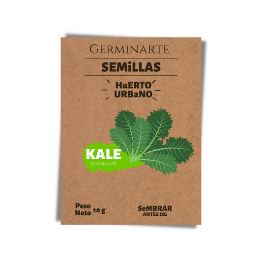 Semilla Kale