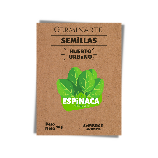 Semilla Espinaca