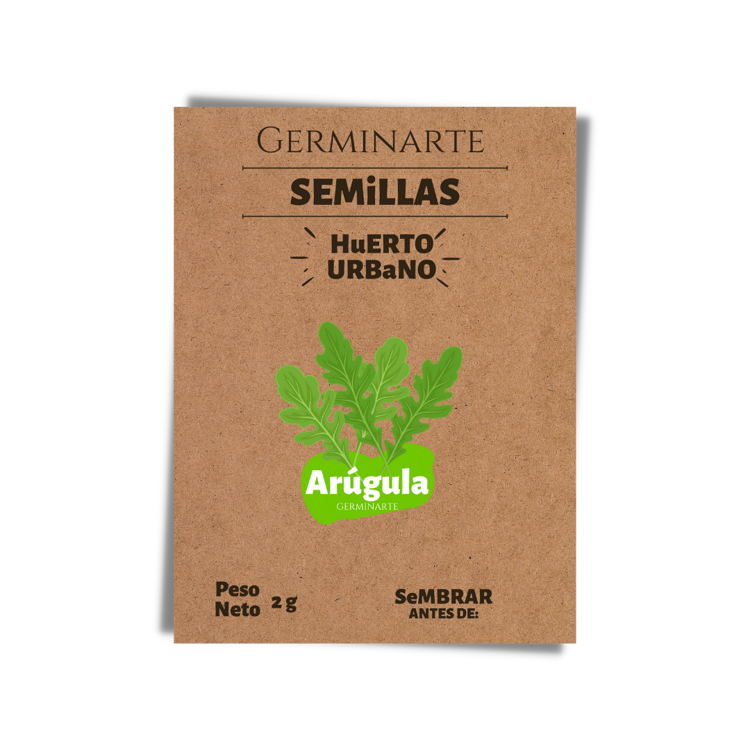 Semilla Arúgula