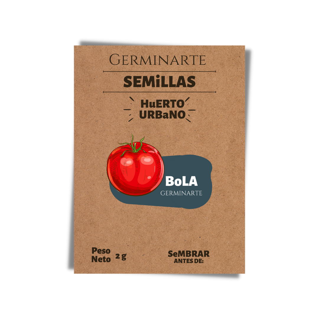 Semilla Tomate bola