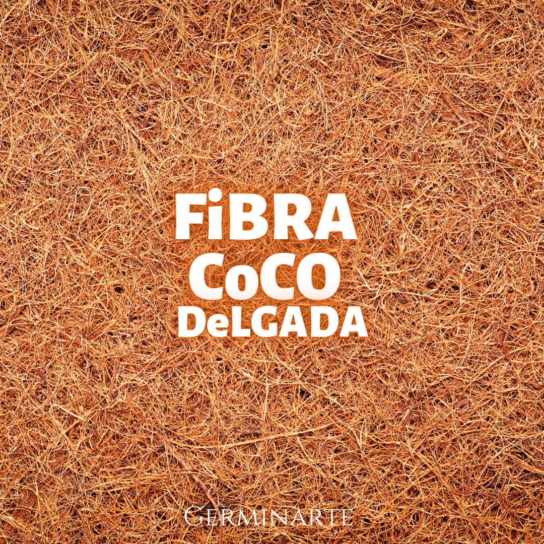 Fibra de Coco Delgado