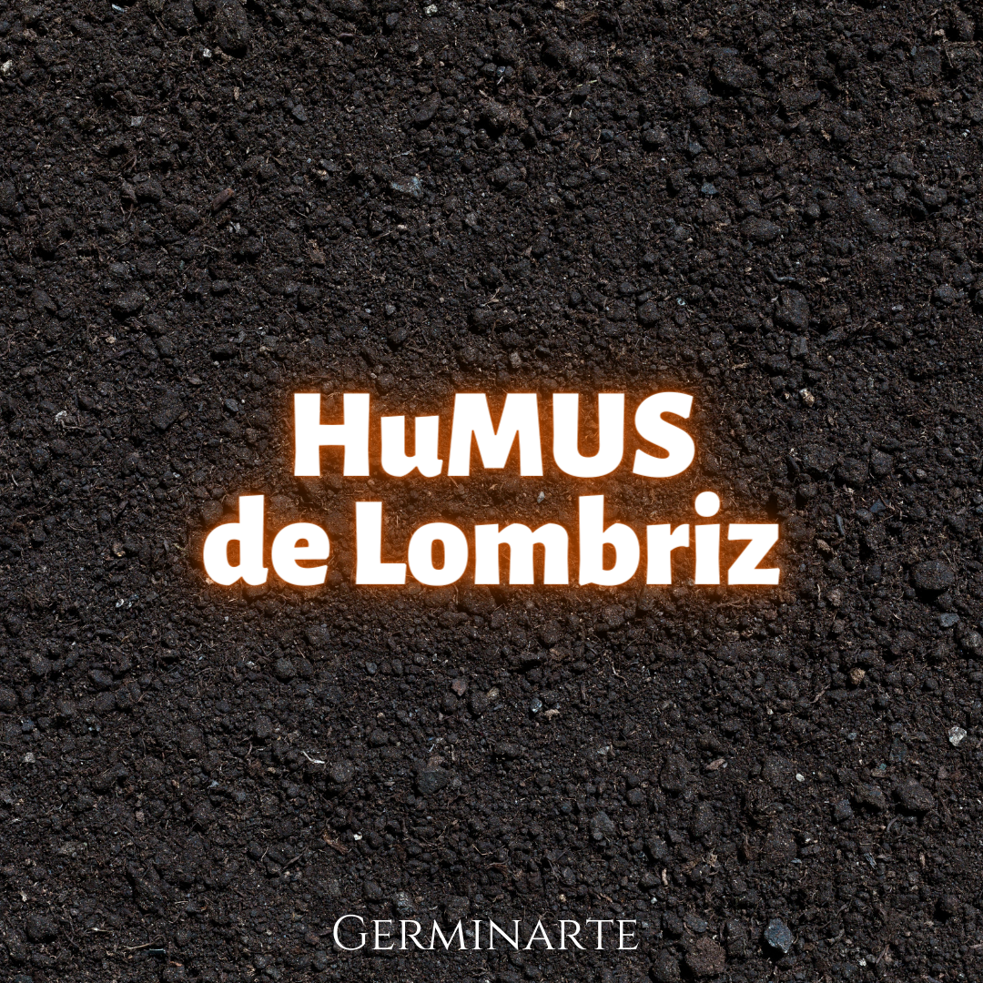 Humus de Lombriz