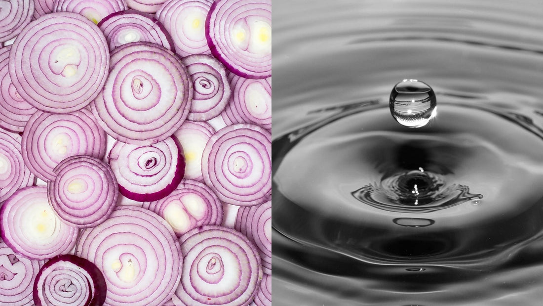 Tip para floración y combatir hongos