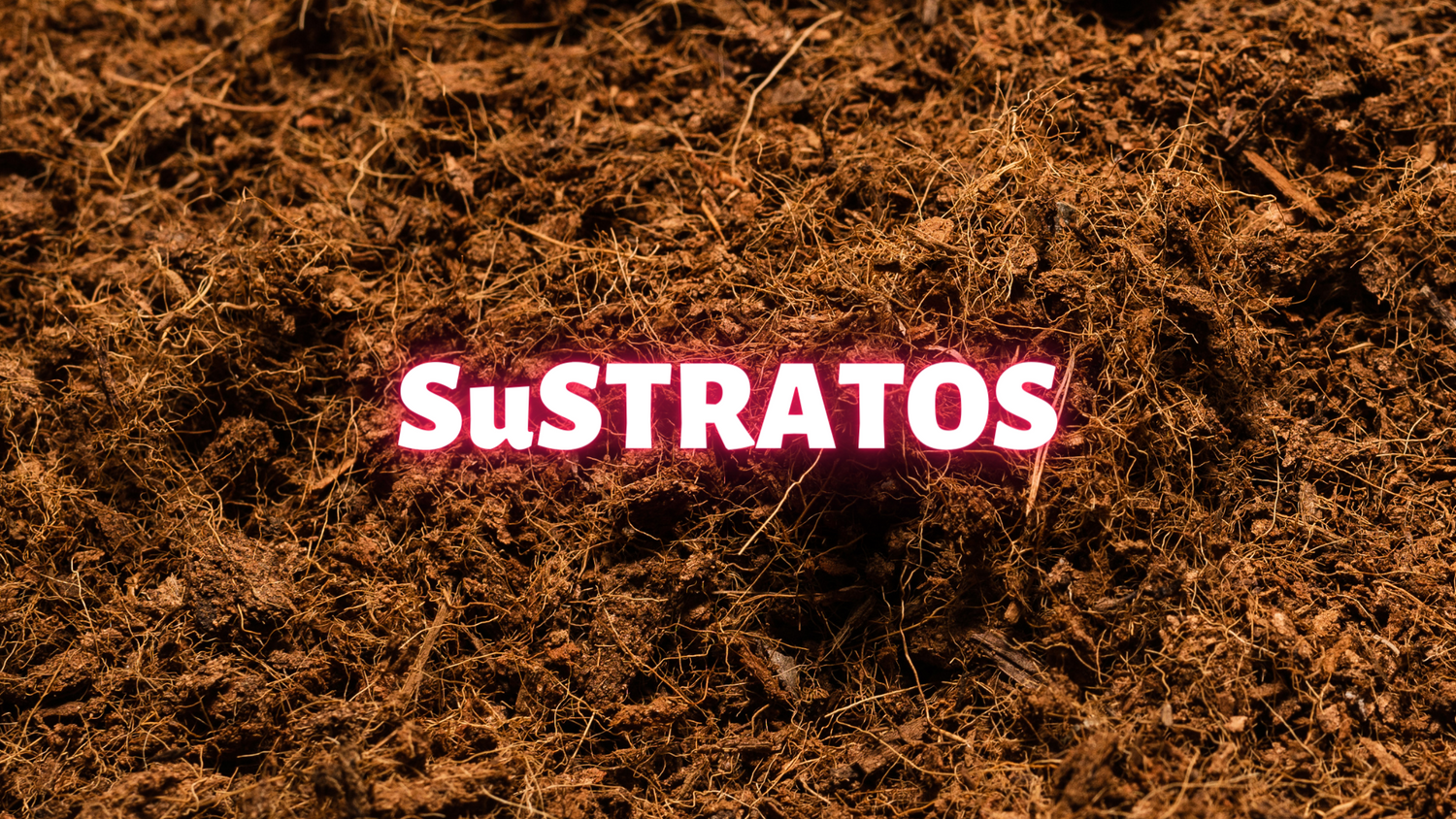Sustratos