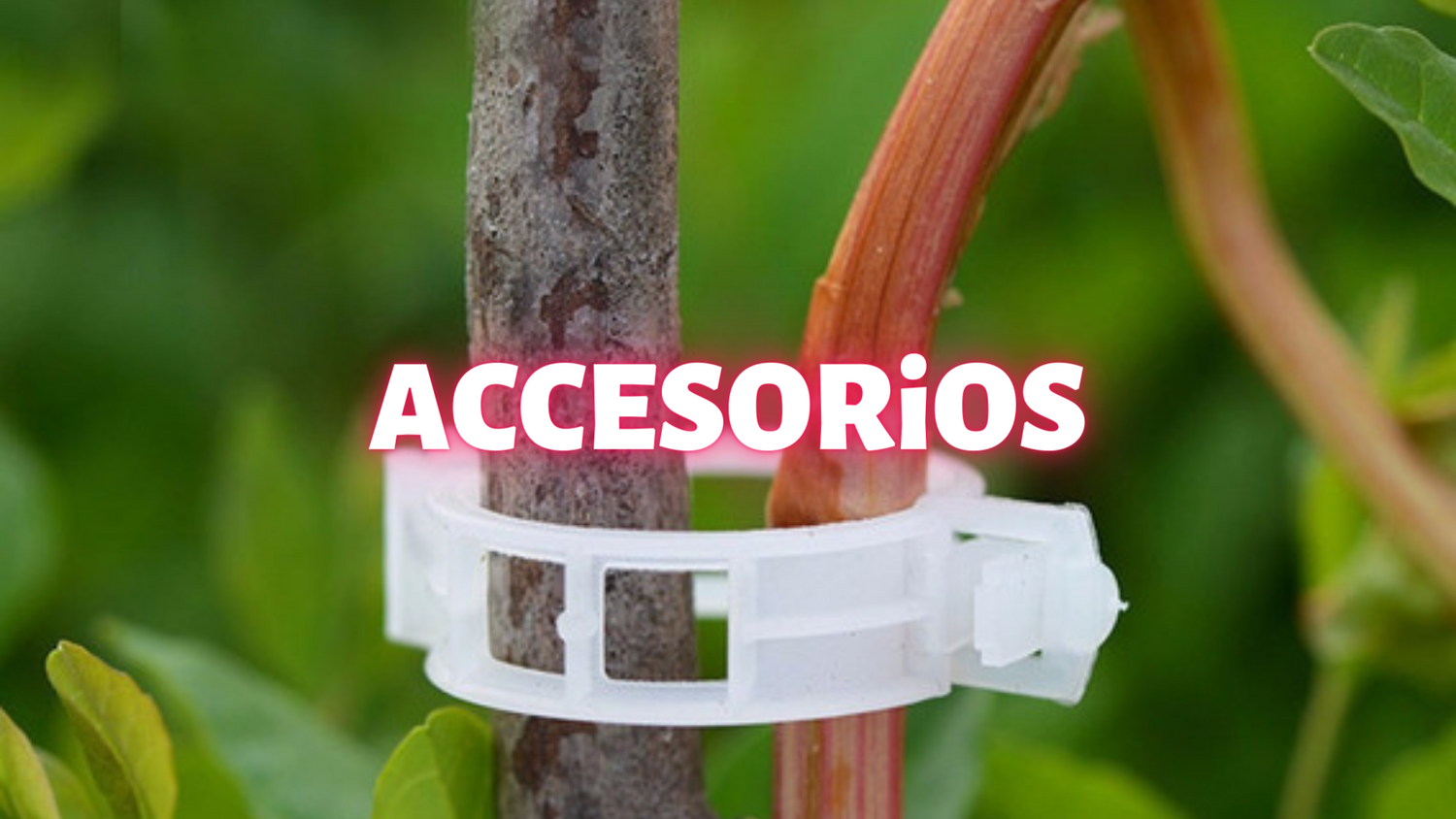 Accesorios
