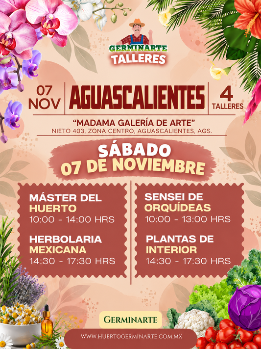 Aguascalientes Sábado 7 de noviembre