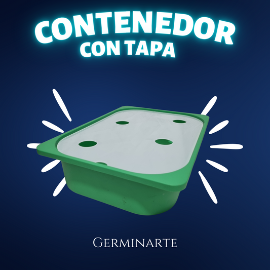 Contenedor con Tapa
