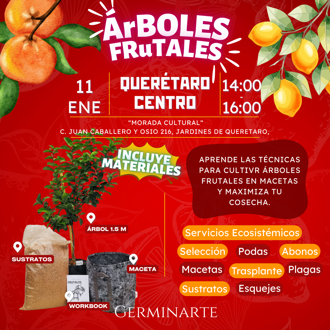 QUERÉTARO  10 Y 11 DE ENERO