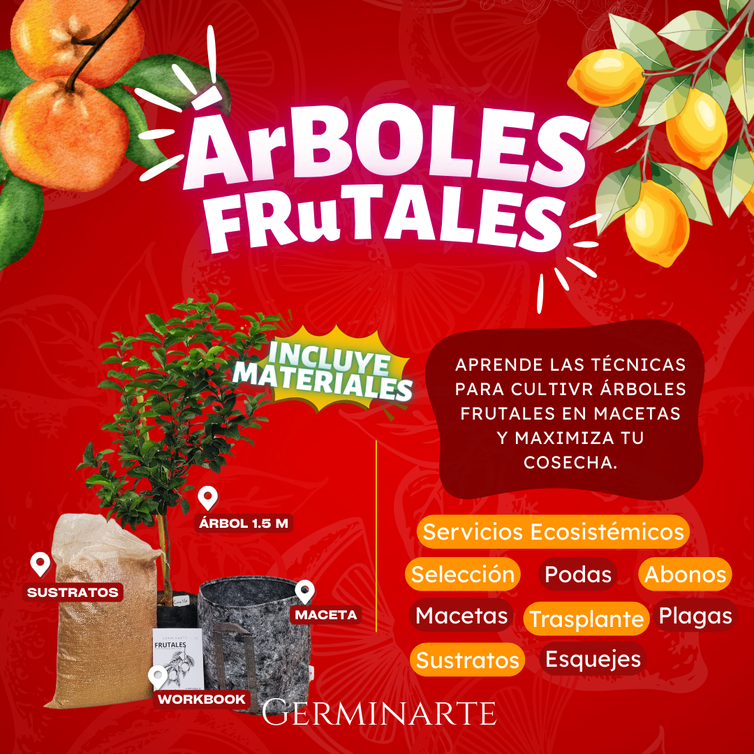 GUADALAJARA 17 Y 18 DE ENERO