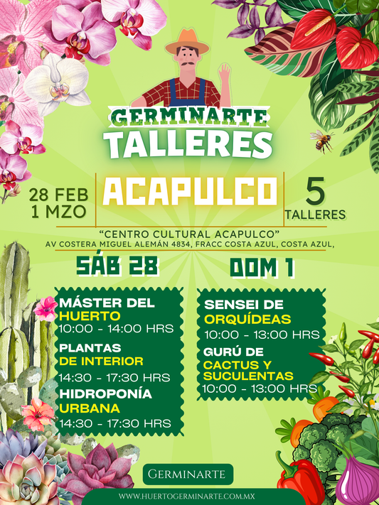 ACAPULCO 28 FEB Y 1 MZO