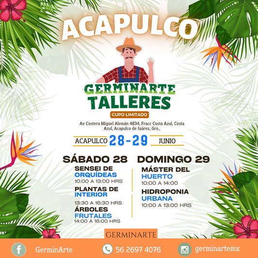 Acapulco 28 y 29 junio