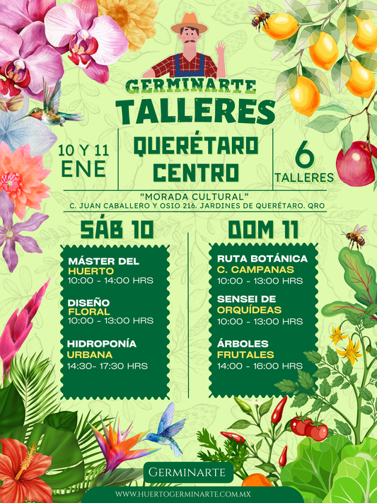 QUERÉTARO  10 Y 11 DE ENERO