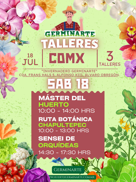 CDMX 18 JULIO