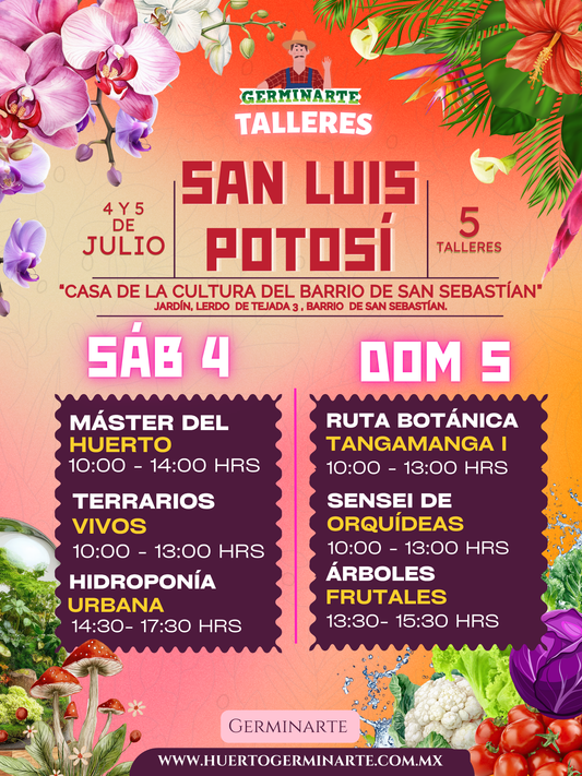 San Luis Potosí 4 y 5 de Julio